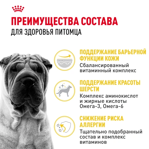 Сухой корм Royal Canin Medium Dermacomfort для собак, 3 кг фото 2