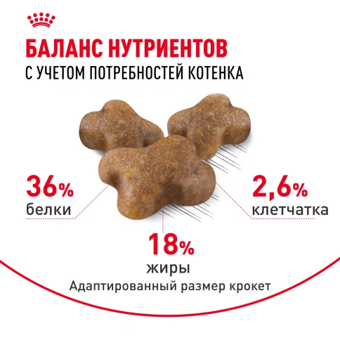 Сухой корм Royal Canin Kitten для котят, 1,2 кг фото 4