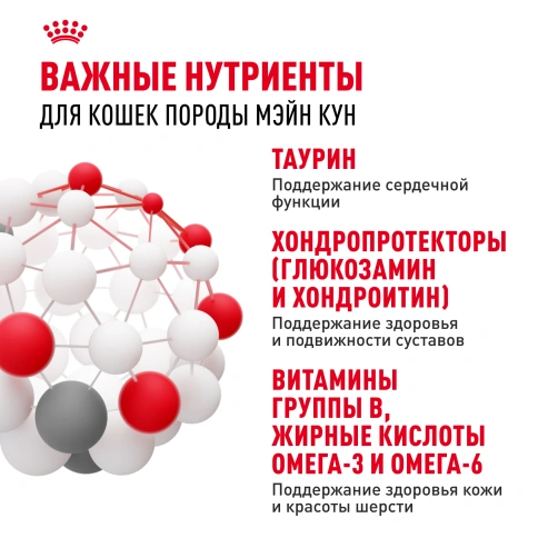 Влажный корм Royal Canin Maine Coon в соусе для кошек породы мейн-кун и других крупных пород старше 1 года, пауч, 85 г фото 5