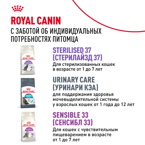 Сухой корм Royal Canin Fit для кошек, 400 г фото 10