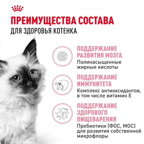 Сухой корм Royal Canin Kitten для котят, 1,2 кг фото 3