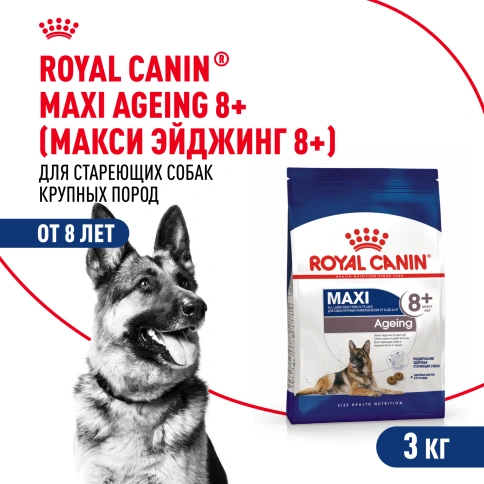 Сухой корм Royal Canin Maxi Ageing 8+ для собак, 3 кг фото 1