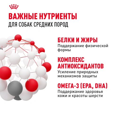 Сухой корм Royal Canin Medium Adult для собак, 15 кг фото 5