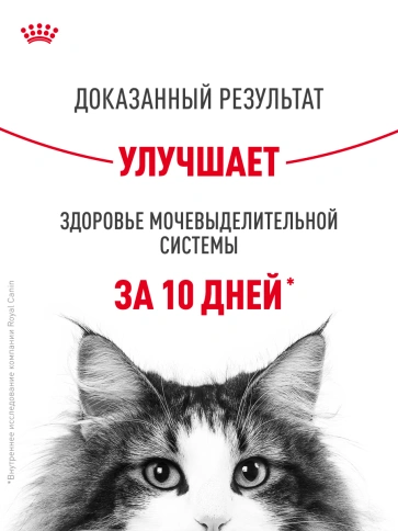 Сухой корм Royal Canin Urinary Care для кошек для профилактика мочекаменной болезни, 4 кг фото 20