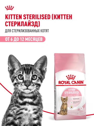 Сухой корм Royal Canin Kitten Sterilised для котят, 3,5 кг фото 19
