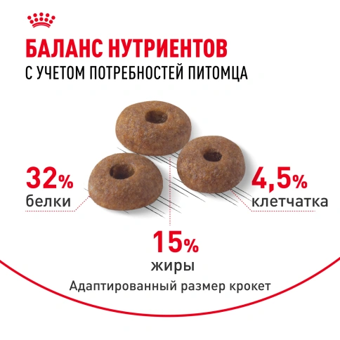 Сухой корм Royal Canin Fit для кошек, 4 кг фото 4