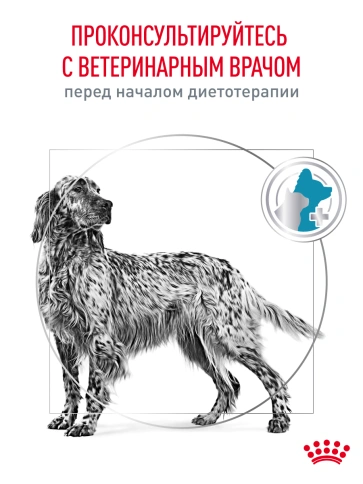 Сухой корм Royal Canin Hypoallergeniс для собак, 4 кг фото 21