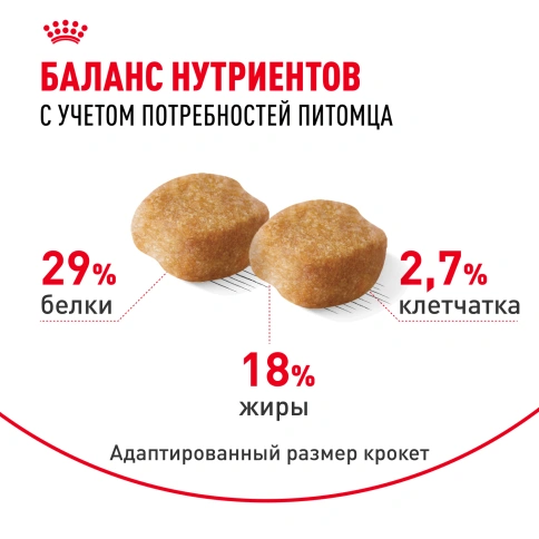 Сухой корм Royal Canin Yorkshire Terrier Adult 8+ для собак породы йоркширский терьер, 1,5 кг фото 5