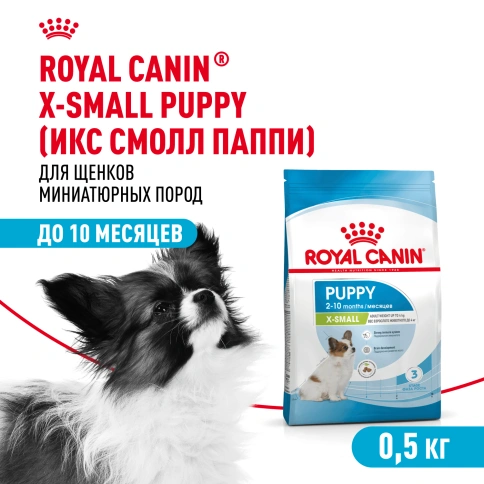 Сухой корм Royal Canin X-Small Puppy для щенков, 500 г фото 1