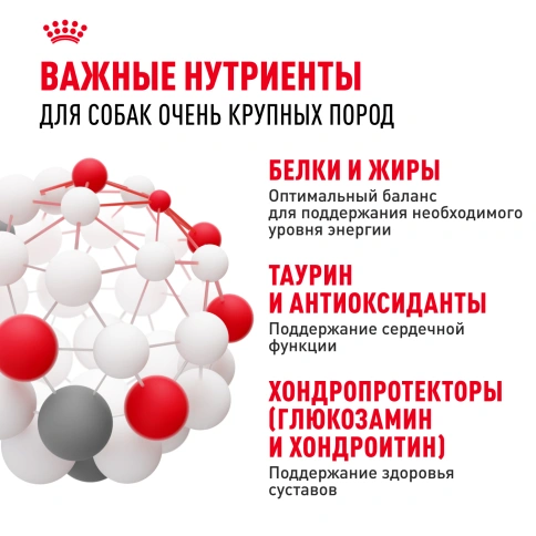 Сухой корм Royal Canin Giant Adult для собак, 4 кг фото 5