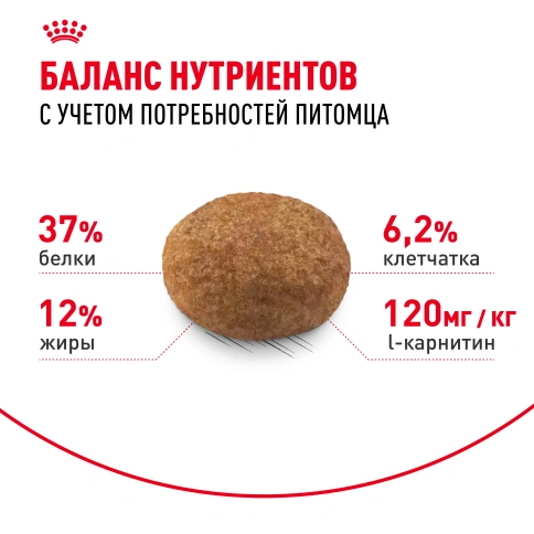 Сухой корм Royal Canin Sterilised для кастрированных котов и стерилизованных кошек фото 4