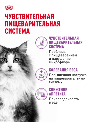 Сухой корм Royal Canin Sensible для кошек, 4 кг фото 17