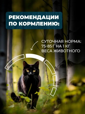 Влажный корм Родные корма Turkey для кошек, с чувствительным пищеварением, с индейкой и желудочками кусочки в желе по-славянски, 85 г фото 4