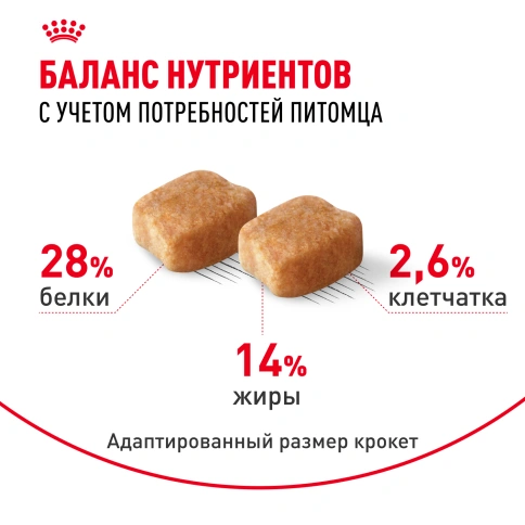 Сухой корм Royal Canin Dachshund Adult для собак породы такса, 7,5 кг фото 4