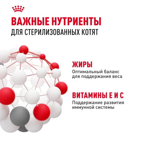 Влажный корм Royal Canin Kitten Sterilised в желе для стерилизованных котят до 12 месяцев, пауч, 85 г фото 5