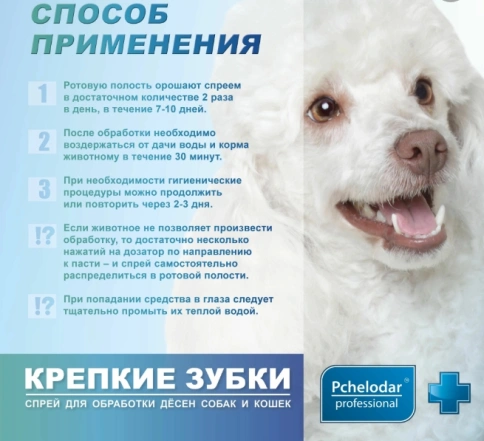 Спрей Пчелодар для обработки десен собак и кошек, Крепкие зубки, 50 мл фото 3