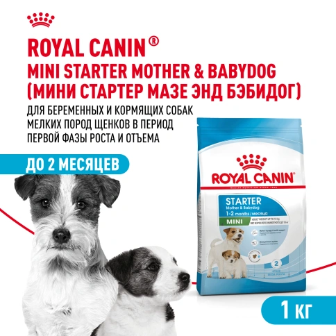 Сухой корм Royal Canin Mini Starter Mother & Babydog для щенков и кормящих сук, 1 кг фото 1