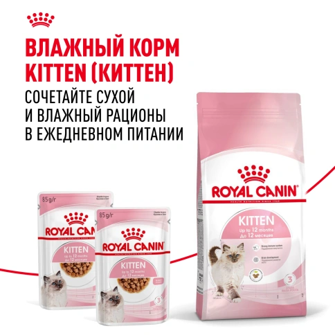 Сухой корм Royal Canin Kitten для котят, 1,2 кг фото 8