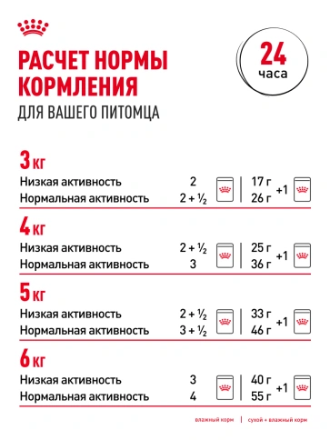 Влажный корм Royal Canin Indoor 7+ в соусе для кошек старше 7 лет, живущих в помещении, пауч, 85 г фото 8