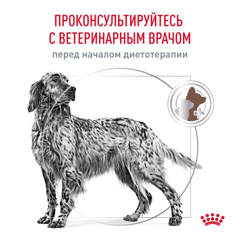 Сухой корм Royal Canin Hepatiс для собак, 12 кг фото 7