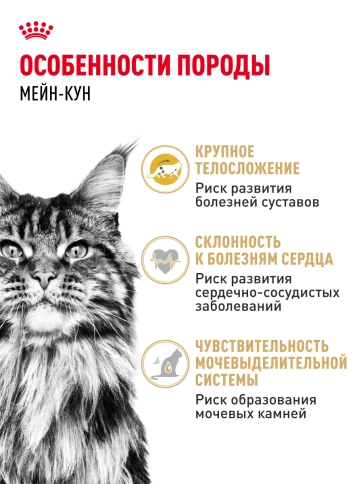 Сухой корм Royal Canin Maine Coon для кошек, 400 г фото 23