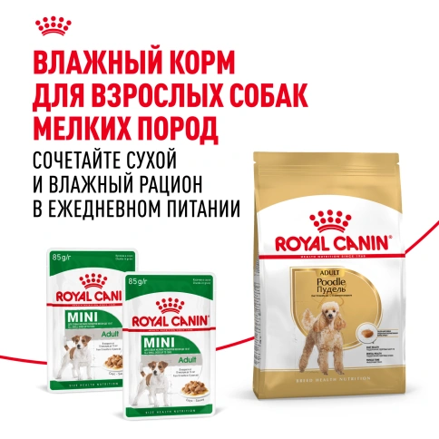 Сухой корм Royal Canin Poodle Adult для взрослых собак, 1,5 кг фото 8