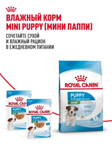 Сухой корм Royal Canin Mini Puppy для щенков, 800 г фото 26