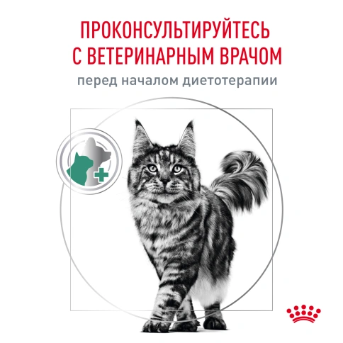 Влажный корм Royal Canin Diabetiс диетический для кошек при сахарном диабете, пауч, 85 г фото 12