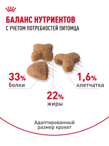 Сухой корм Royal Canin Sensible для кошек, 1,2 кг фото 20