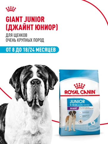 Сухой корм Royal Canin Giant Junior для щенков, 3,5 кг фото 12
