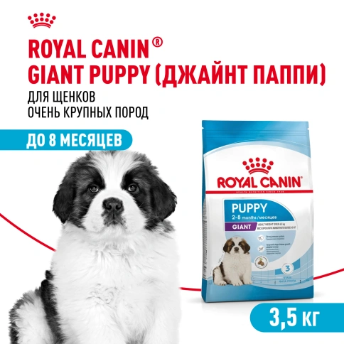 Сухой корм Royal Canin Giant Puppy для щенков, 3,5 кг фото 1