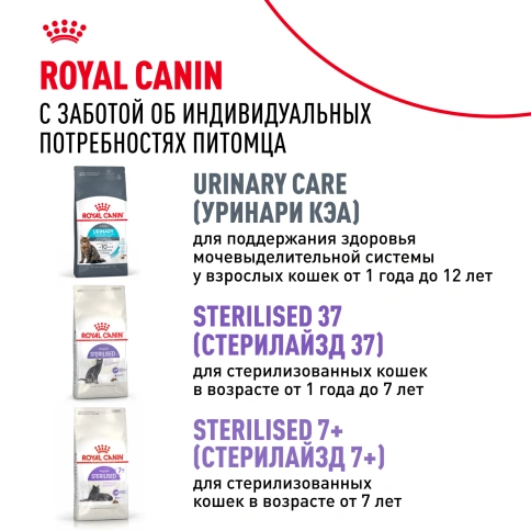 Сухой корм Royal Canin Ageing Sterilised 12+ для стерилизованных кошек старше 12 лет, 400 г фото 9