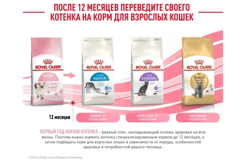 Сухой корм Royal Canin Kitten для котят, 300 г фото 13
