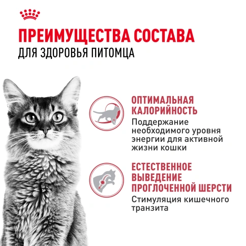 Сухой корм Royal Canin Fit для кошек, 400 г фото 2