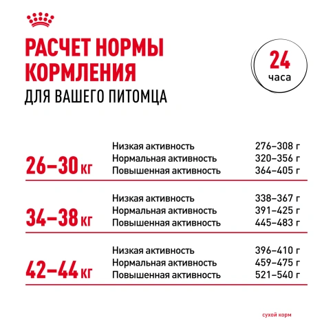 Сухой корм Royal Canin Maxi Dermacomfort для собак, 10 кг фото 8