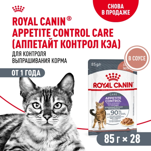 Влажный корм Royal Canin Appetite Control Care в соусе для взрослых кошек, для контроля выпрашивания корма, пауч, 85 г фото 12