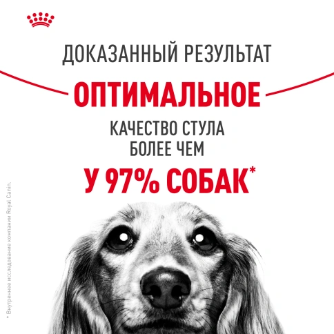 Сухой корм Royal Canin Medium Digestive Care для собак, 12 кг фото 9