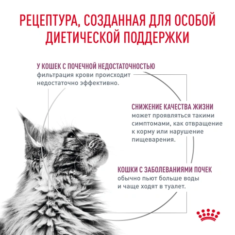 Влажный корм Royal Canin Renal Fish для кошек при заболеваниях почек, в соусе, с рыбой, пауч, 85 г фото 3