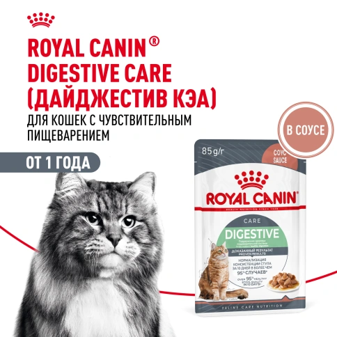 Влажный корм Royal Canin Digest Sensitive в соусе для улучшения пищеварения у взрослых кошек старше 1 года, пауч, 85 г фото 16