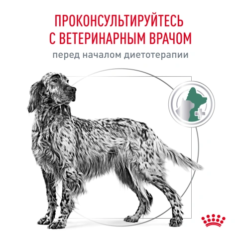 Сухой корм Royal Canin Satiety Weight Management для собак для снижение веса, 1,5 кг фото 7