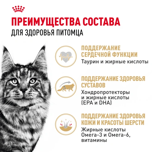 Влажный корм Royal Canin Maine Coon в соусе для кошек породы мейн-кун и других крупных пород старше 1 года, пауч, 85 г фото 3