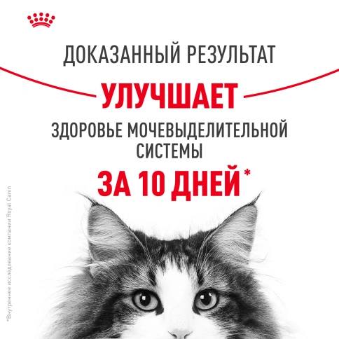 Сухой корм Royal Canin Urinary Care для кошек для профилактика мочекаменной болезни, 4 кг фото 4