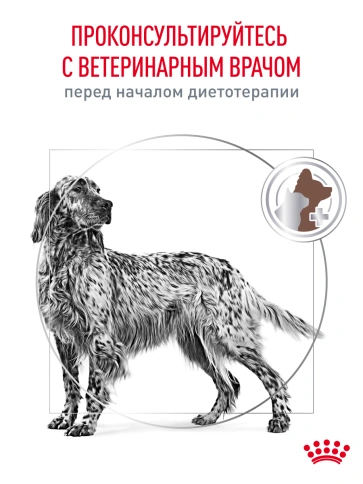 Сухой корм Royal Canin Gastrointestinal для собак, 2 кг фото 21
