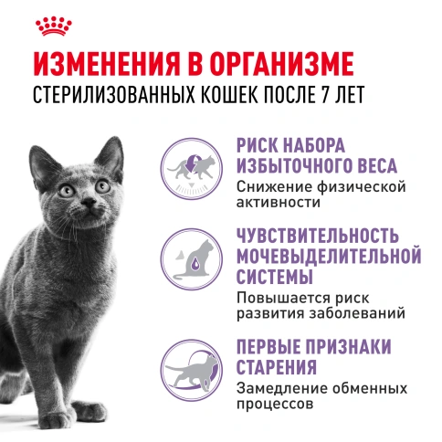 Сухой корм Royal Canin Sterilised 7+ для стерилизованных кошек и кастрированных котов, 400 г фото 2