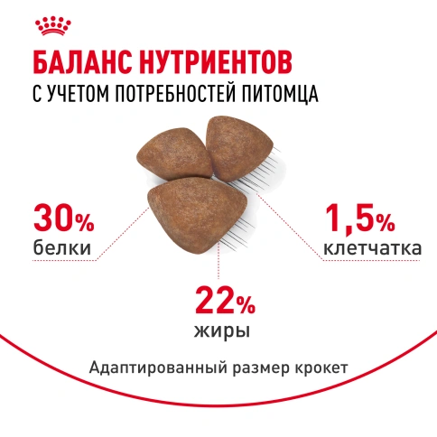 Сухой корм Royal Canin Mini Starter Mother & Babydog для щенков и кормящих сук, 1 кг фото 4