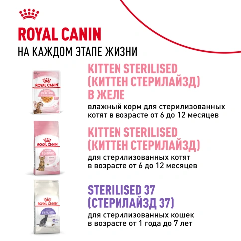 Влажный корм Royal Canin Kitten в соусе для котят до 12 месяцев, пауч, 85 г фото 17