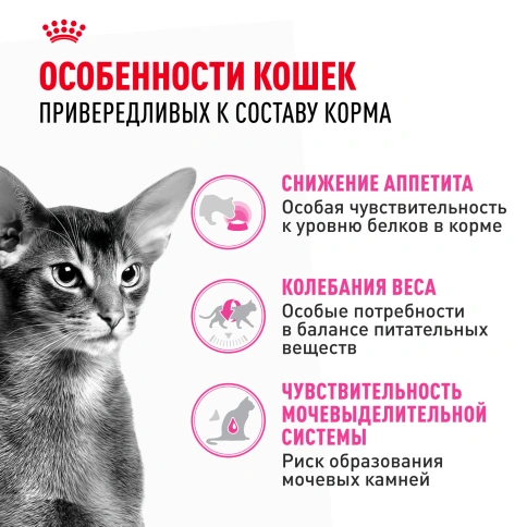 Сухой корм Royal Canin Protein Exigent для кошек, 400 г фото 2