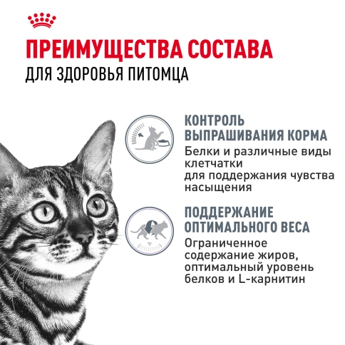 Сухой корм Royal Canin Appetite Control Care для кошек для контроля аппетита, 400 г фото 3