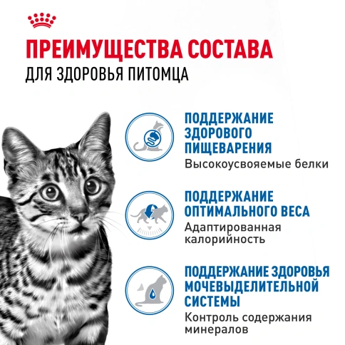 Влажный корм Royal Canin Indoor в соусе для кошек, живущих в помещении, пауч, 85 г фото 3