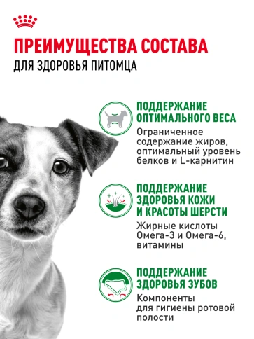 Сухой корм Royal Canin Mini Adult для взрослых собак, 2 кг фото 17